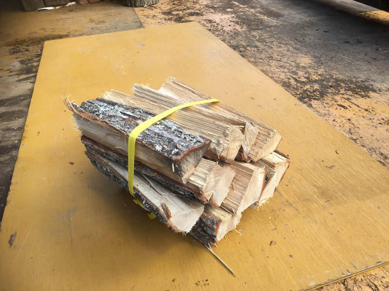 ナラ・クヌギ　30cm